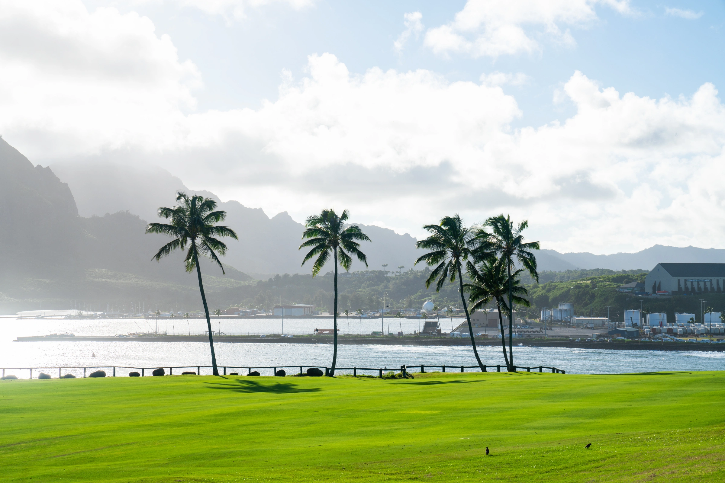 Lihue,_Kauai_Island,_Hawaii[1].webp